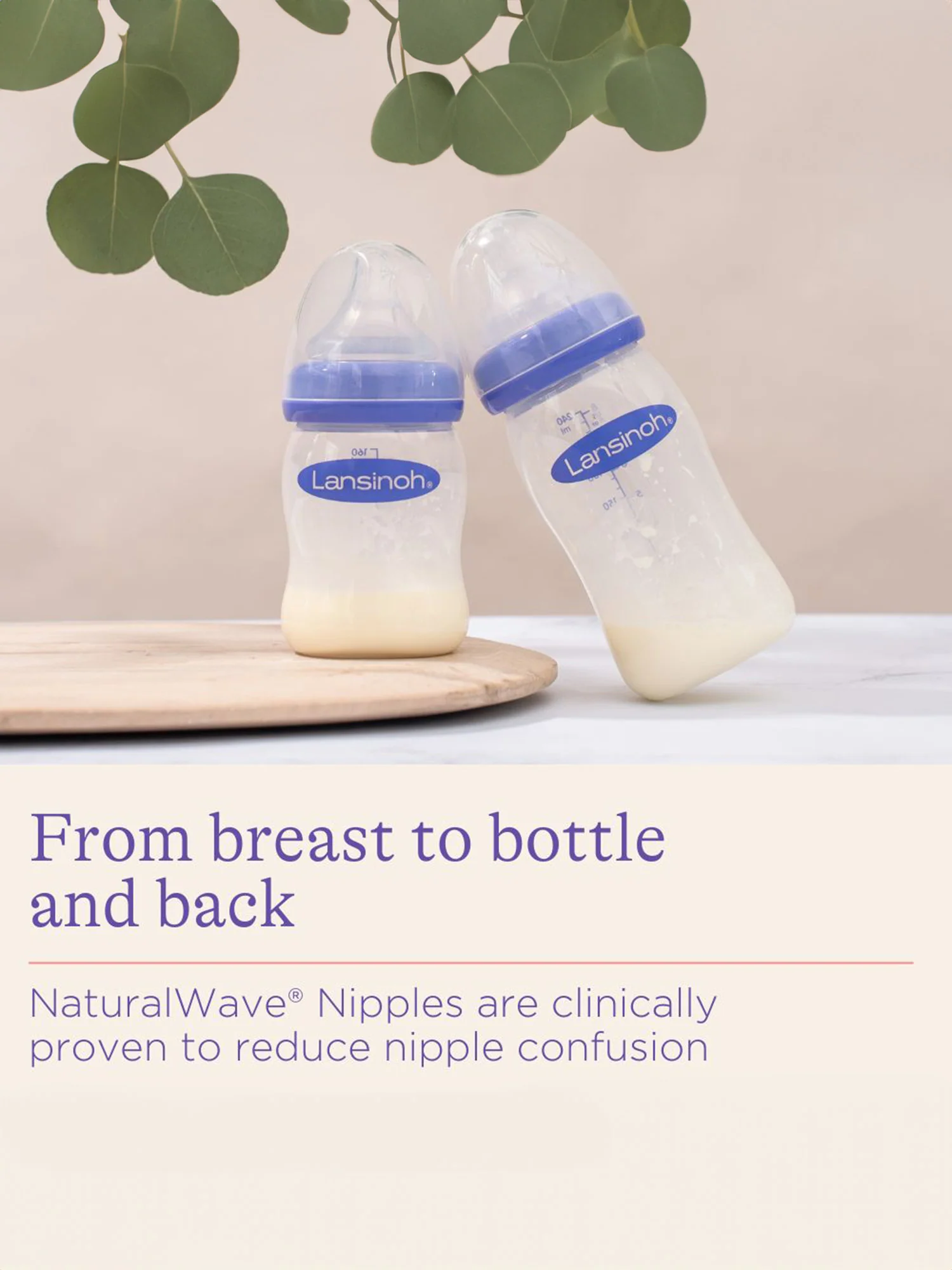 Lansinoh - Breastfeeding Bottles 5oz - Image 3