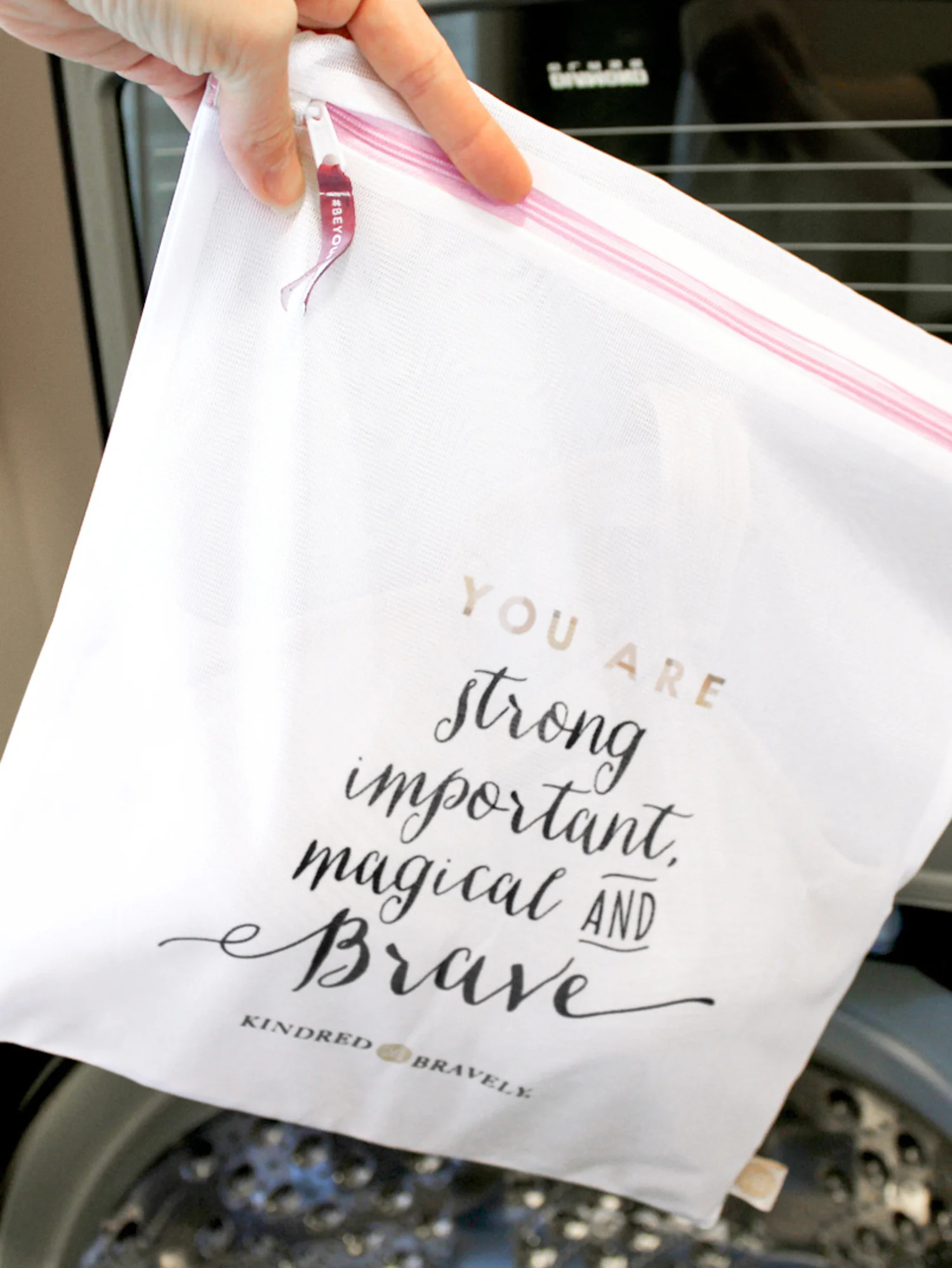 Mesh Lingerie Laundry Bag - Image 3